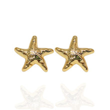 Brinco Estrela orgânica Dourada - Semijoia