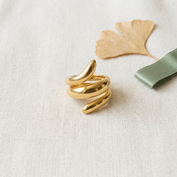 Anel espiral dourado em aço inoxidável da Amba Black