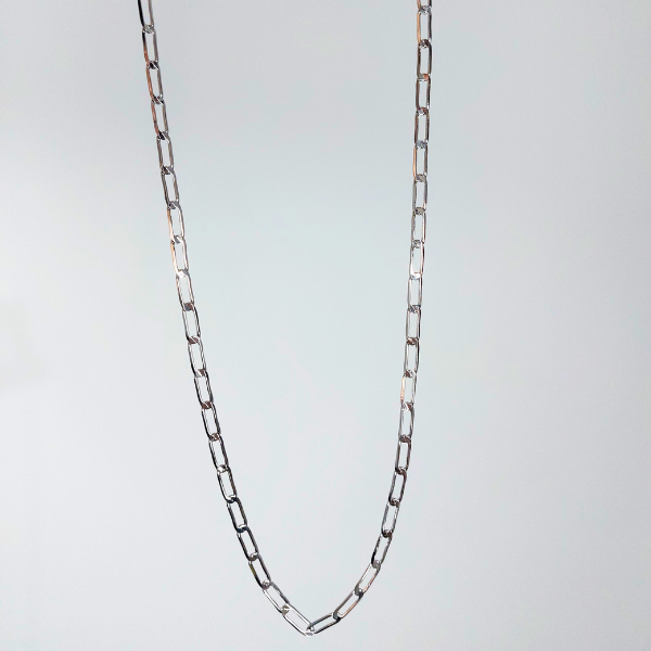 Colar Longo Elos Ovais Prata Inox Unissex