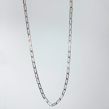 Colar Longo Elos Ovais Prata Inox Unissex