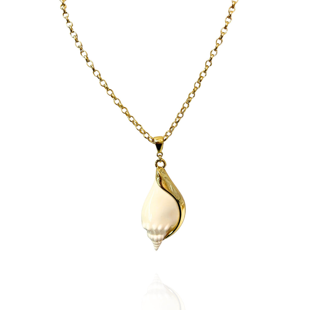 Colar Pingente Concha Dourado Folheado Ouro 18k