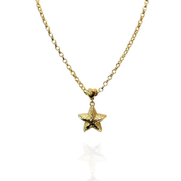 Colar Pingente estrela do mar dourado - Semijoia