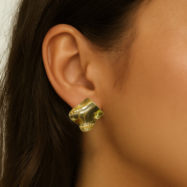 Brinco orgânico liso - aço inox