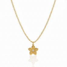 Colar Flor Ponto de Luz Dourado Aço Inox Cravejado