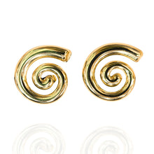 Brinco Espiral Dourado Aço Inox