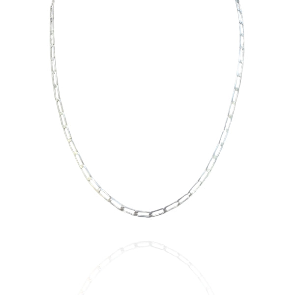 Colar Longo Elos Ovais Prata Inox Unissex