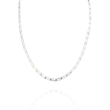 Colar Longo Elos Ovais Prata Inox Unissex