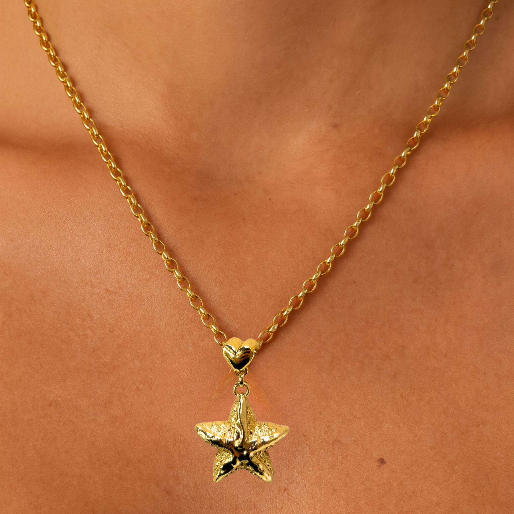 Colar Pingente estrela do mar dourado - Semijoia