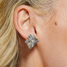 Brinco Chapa Orgânico Prata – Aço Inoxidável